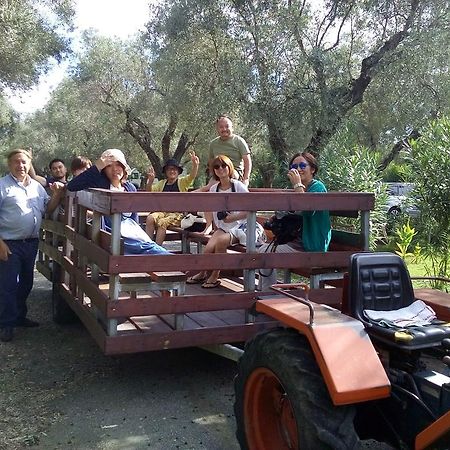 Agriturismo Il Maresciallo Villa Cariati Kültér fotó