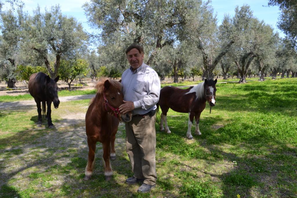 Agriturismo Il Maresciallo Villa Cariati Kültér fotó